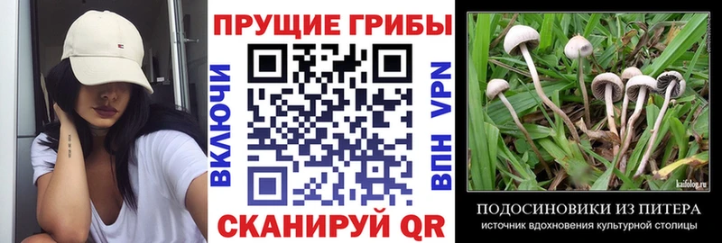 Псилоцибиновые грибы Psilocybe  MEGA как зайти  Нижние Серги 